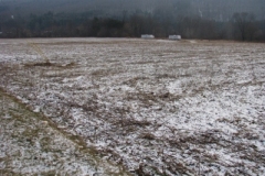 IMG_4786-400x300