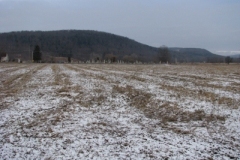 IMG_4795-400x300