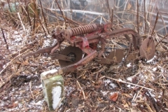 IMG_4821-400x300