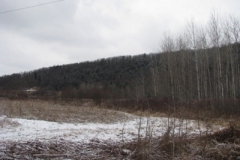 IMG_4996-400x300