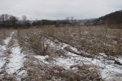 IMG_4998-400x300