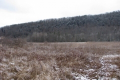 IMG_4999-400x300