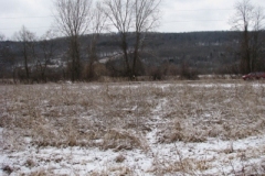 IMG_5000-400x300