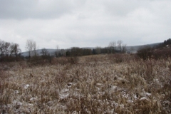 IMG_5001-400x300