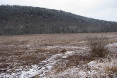 IMG_5002-400x300