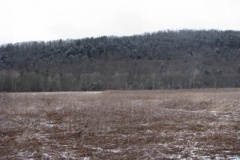 IMG_5003-400x300