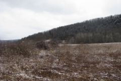 IMG_5004-400x300