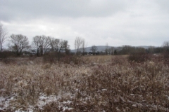 IMG_5005-400x300