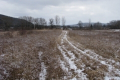 IMG_5006-400x300