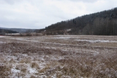 IMG_5007-400x300