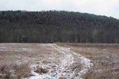 IMG_5008-400x300
