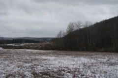 IMG_5009-400x300