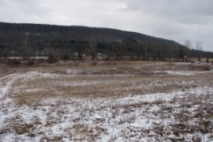 IMG_5010-400x300