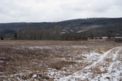 IMG_5011-400x300
