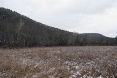 IMG_5012-400x300