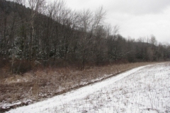 IMG_5013-400x300