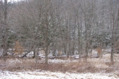 IMG_5014-400x300