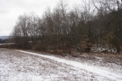 IMG_5015-400x300