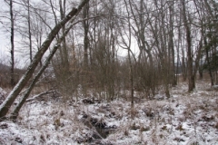 IMG_5017-400x300
