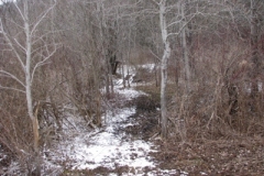 IMG_5018-400x300