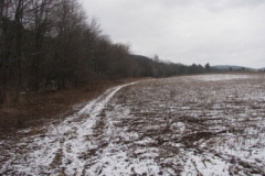 IMG_5019-400x300