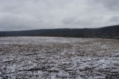 IMG_5020-400x300