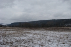 IMG_5023-400x300