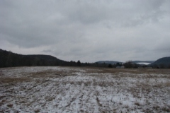 IMG_5024-400x300