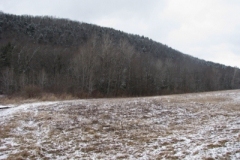 IMG_5025-400x300