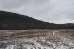 IMG_5026-400x300
