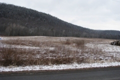 IMG_5028-400x300