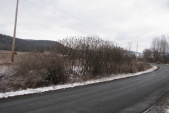 IMG_5029-400x300