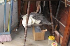 IMG_5862-300x400