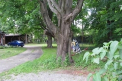 IMG_6070-400x300