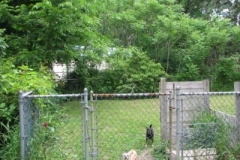 IMG_6080-400x300