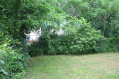 IMG_6082-400x300