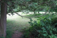 IMG_6083-400x300