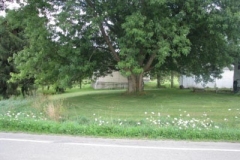 IMG_7021-400x300