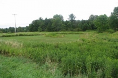 IMG_7023-400x300