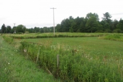 IMG_7024-400x300