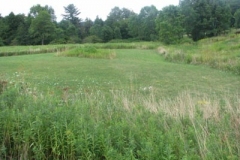 IMG_7025-400x300