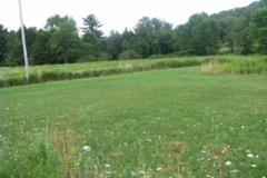IMG_7026-400x300