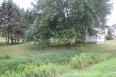 IMG_7027-400x300
