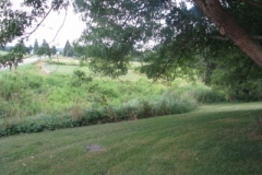 IMG_7028-400x300