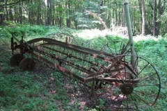IMG_6922-400x300
