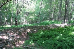 IMG_6923-400x300