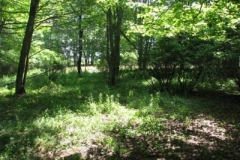 IMG_6925-400x300