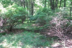 IMG_6926-400x300