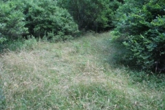 IMG_6929-400x300