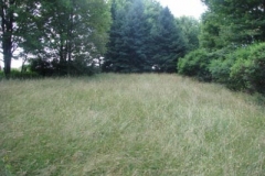 IMG_6930-400x300